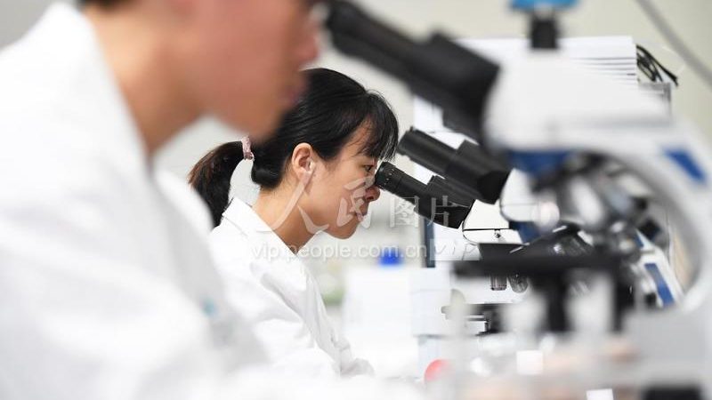PCR检测：精准防控，上海优质检测公司盘点