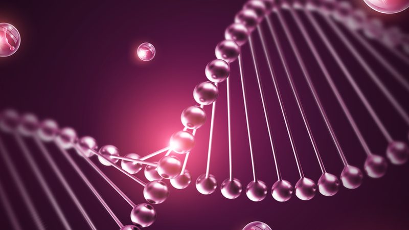 细胞培养实验设计：上海公司的专业之道**