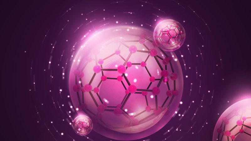 培养基成分揭秘：分类与作用的深层解析**