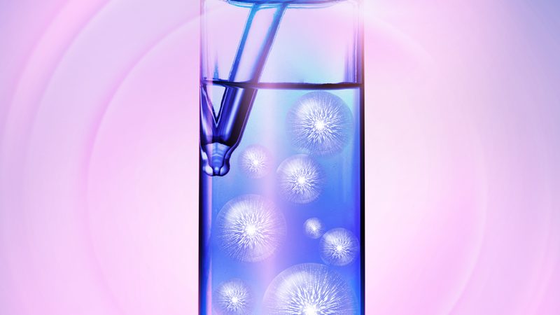 磷酸化抗体WB显色方法解析：关键步骤与注意事项