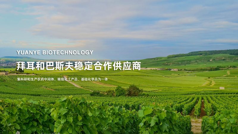 PCR检测价格构成解析：揭秘影响成本的关键因素
