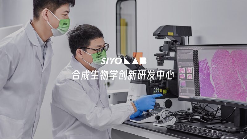 肿瘤基因检测套餐：如何选择最适合的方案**