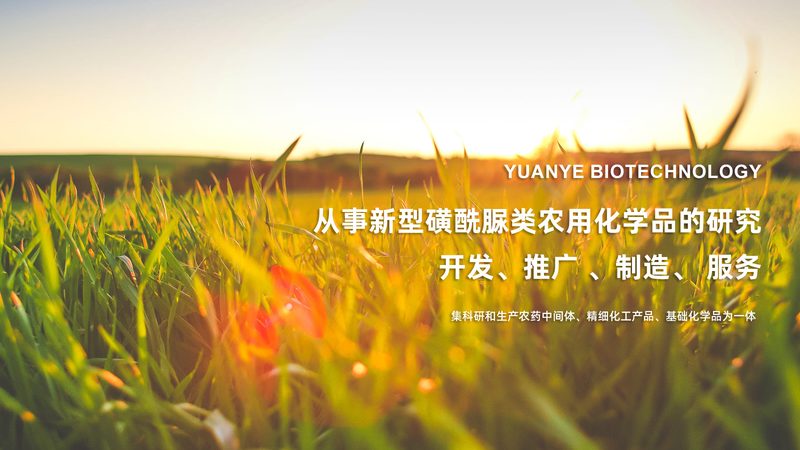 成都抗体检测试剂盒：如何选择合适的代理合作伙伴**