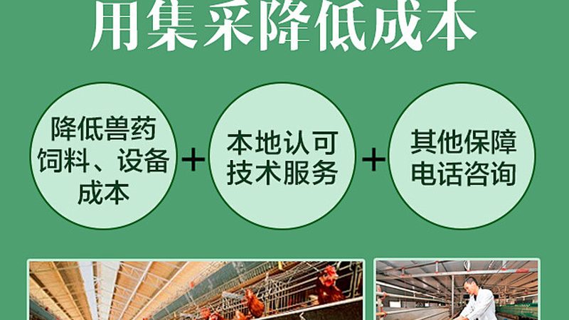 定制多肽合成试剂：精准科研的得力助手**