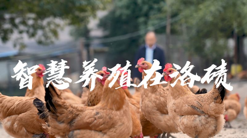 临床前生物医药外包公司，市场排名背后的考量因素