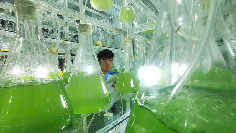 基因测序样本采集：关键步骤与注意事项